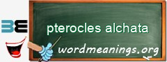 WordMeaning blackboard for pterocles alchata